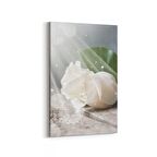 Olla 11562D Çiçek Görseli Dikey Kanvas Tablo (Ölçü: 70X105)