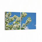 Olla 10912K2Y Ağaç Görseli Kare 2'li Yatay Kanvas Tablo (Ölçü: 65X30)