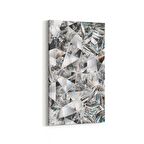 Olla 10209DD Abstract Görsel Dikey Dar Kanvas Tablo (Ölçü: 40X80)