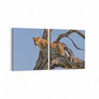 Olla 12466K2Y Hayvanlar Alemi Görseli Kare 2'li Yatay Kanvas Tablo (Ölçü: 65X30)