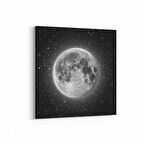 Olla 14705K Gece Gökyüzü Görseli Kare Kanvas Tablo (Ölçü: 25X25)