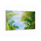 Olla 11532Y Palmiye Ağacı Görseli Yatay Kanvas Tablo (Ölçü: 70X50)
