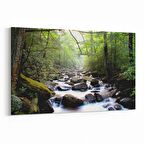 Olla 14033Y Doğa / Manzara Görseli Yatay Kanvas Tablo (Ölçü: 120X80)