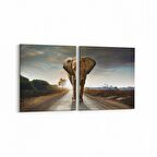 Olla 12648K2Y Hayvanlar Alemi Görseli Kare 2'li Yatay Kanvas Tablo (Ölçü: 145X70)