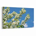 Olla 10912Y Ağaç Görseli Yatay Kanvas Tablo (Ölçü: 150X100)