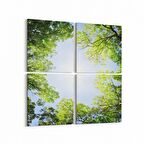 Olla 10749K4 Ağaç Görseli Kare 4'lü Kanvas Tablo (Ölçü: 145X145)