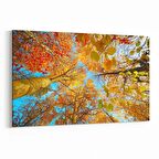 Olla 10489Y Ağaç Görseli Yatay Kanvas Tablo (Ölçü: 150X100)