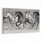 Olla 12462Y Hayvanlar Alemi Görseli Yatay Kanvas Tablo (Ölçü: 30X20)