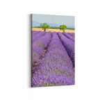 Olla 14110D Doğa / Manzara Görseli Dikey Kanvas Tablo (Ölçü: 60X90)