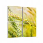 Olla 13670K4 Doğa / Manzara Görseli Kare 4'lü Kanvas Tablo (Ölçü: 125X125)