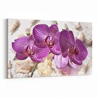 Olla 11652Y Orkide Çiçek Görseli Yatay Kanvas Tablo (Ölçü: 120X80)