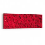 Olla 11639YI Çiçek Görseli Yatay İnce Kanvas Tablo (Ölçü: 90X30)