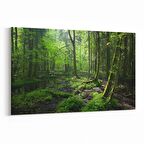 Olla 14517Y Doğa / Manzara Görseli Yatay Kanvas Tablo (Ölçü: 45X30)