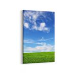 Olla 14465D Doğa / Manzara Görseli Dikey Kanvas Tablo (Ölçü: 80X120)