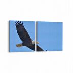 Olla 12692K2Y Hayvanlar Alemi Görseli Kare 2'li Yatay Kanvas Tablo (Ölçü: 125X60)