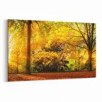 Olla 14106Y Doğa / Manzara Görseli Yatay Kanvas Tablo (Ölçü: 150X100)