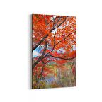 Olla 13256D Doğa / Manzara Görseli Dikey Kanvas Tablo (Ölçü: 100X150)