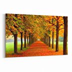 Olla 13230Y Doğa / Manzara Görseli Yatay Kanvas Tablo (Ölçü: 150X100)