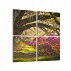 Olla 14629K4 Doğa / Manzara Görseli Kare 4'lü Kanvas Tablo (Ölçü: 65X65)