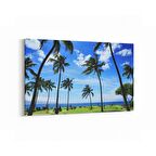 Olla 16384Y Kumsal / Sahil Görseli Yatay Kanvas Tablo (Ölçü: 90X60)