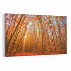 Olla 13239Y Doğa / Manzara Görseli Yatay Kanvas Tablo (Ölçü: 30X20)