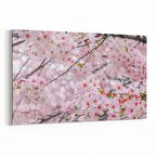 Olla 11556Y Çiçek Görseli Yatay Kanvas Tablo (Ölçü: 45X30)