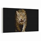 Olla 12522Y Hayvanlar Alemi Görseli Yatay Kanvas Tablo (Ölçü: 30X20)