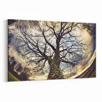 Olla 10834Y Ağaç Görseli Yatay Kanvas Tablo (Ölçü: 30X20)