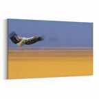 Olla 12681Y Hayvanlar Alemi Görseli Yatay Kanvas Tablo (Ölçü: 70X50)