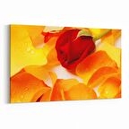 Olla 11616Y Çiçek Görseli Yatay Kanvas Tablo (Ölçü: 30X20)