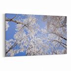 Olla 10567Y Ağaç Görseli Yatay Kanvas Tablo (Ölçü: 70X50)