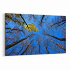 Olla 10861Y Ağaç Görseli Yatay Kanvas Tablo (Ölçü: 30X20)