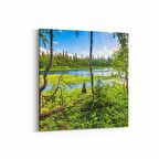 Olla 14248K Doğa / Manzara Görseli Kare Kanvas Tablo (Ölçü: 100X100)