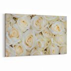 Olla 11608Y Çiçek Görseli Yatay Kanvas Tablo (Ölçü: 45X30)