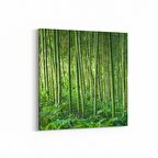 Olla 13552K Doğa / Manzara Görseli Kare Kanvas Tablo (Ölçü: 25X25)