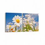 Olla 13543K2Y Doğa / Manzara Görseli Kare 2'li Yatay Kanvas Tablo (Ölçü: 65X30)