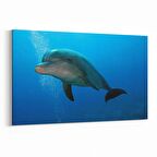 Olla 12956Y Deniz / Okyanus Görseli Yatay Kanvas Tablo (Ölçü: 120X80)