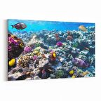 Olla 12073Y Akvaryum / Balık Görseli Yatay Kanvas Tablo (Ölçü: 120X80)
