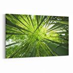 Olla 10805Y Ağaç Görseli Yatay Kanvas Tablo (Ölçü: 90X60)