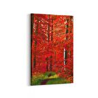 Olla 14592D Doğa / Manzara Görseli Dikey Kanvas Tablo (Ölçü: 80X120)