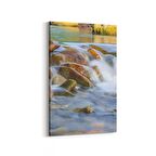 Olla 13856D Doğa / Manzara Görseli Dikey Kanvas Tablo (Ölçü: 60X90)