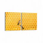 Olla 12561K2Y Hayvanlar Alemi Görseli Kare 2'li Yatay Kanvas Tablo (Ölçü: 145X70)