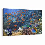 Olla 12163Y Akvaryum / Balık Görseli Yatay Kanvas Tablo (Ölçü: 90X60)