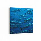 Olla 12866K Deniz / Okyanus Görseli Kare Kanvas Tablo (Ölçü: 25X25)