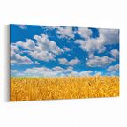 Olla 14105Y Doğa / Manzara Görseli Yatay Kanvas Tablo (Ölçü: 120X80)