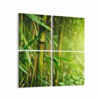 Olla 14620K4 Doğa / Manzara Görseli Kare 4'lü Kanvas Tablo (Ölçü: 65X65)