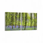 Olla 13442K2Y Doğa / Manzara Görseli Kare 2'li Yatay Kanvas Tablo (Ölçü: 125X60)