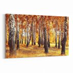 Olla 14096Y Doğa / Manzara Görseli Yatay Kanvas Tablo (Ölçü: 150X100)