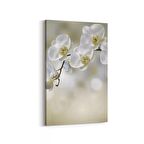 Olla 11718D Orkide Çiçek Görseli Dikey Kanvas Tablo (Ölçü: 100X150)