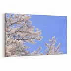 Olla 10680Y Ağaç Görseli Yatay Kanvas Tablo (Ölçü: 120X80)